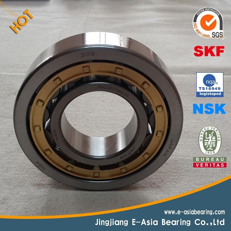 Pillow Block Bearing P207