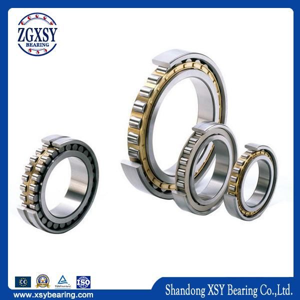 Nu 310 Ecm/C3 Cylindrical Roller Bearing