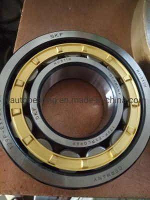 Auto Parts Double Row Cylindrical Roller Bearing (3682776) Ball Bearing