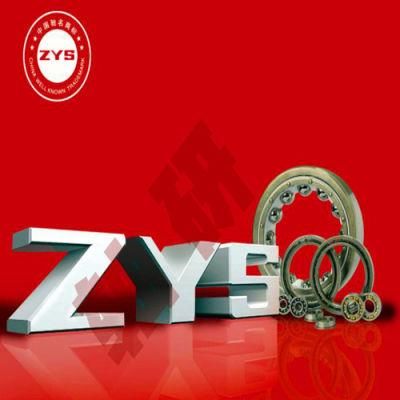 China High Quality Special Bearing Manufacturer Zys