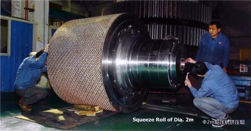 High Pressure Grinding Rolls / Roller / Roller Shaft