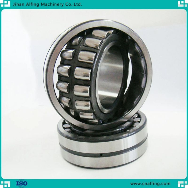 Single/ Double Row Brass Cage Steel Cage Cylindrical Roller Bearing