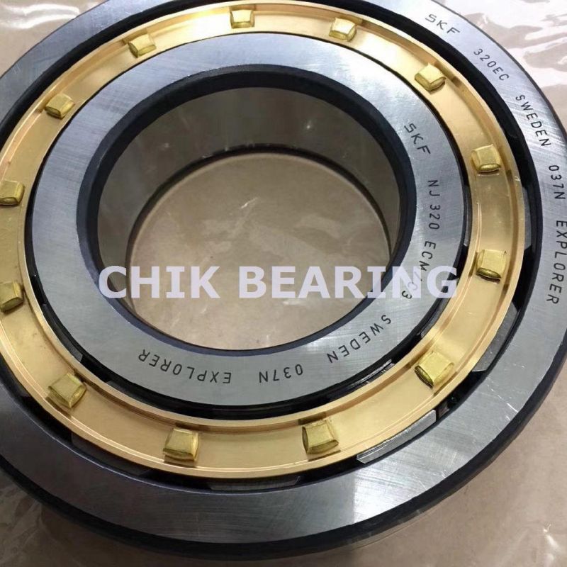 Germany Double Row Cylindrical Roller Bearings for Power Tools (NJ320)