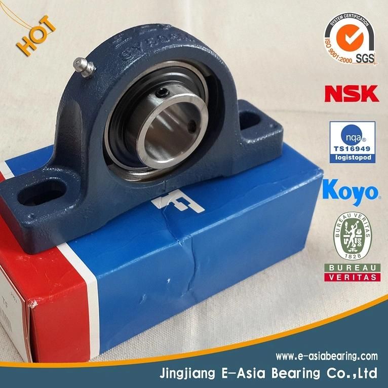 Coupling Ball Screw Sfu1605 with Coupling and Pillow Block Bearing