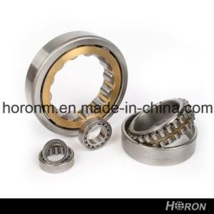 Cylindrical Roller Bearing (NU 2210 ECP)