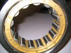 SKF NSK NTN Koyo Cylindrical Roller Bearing