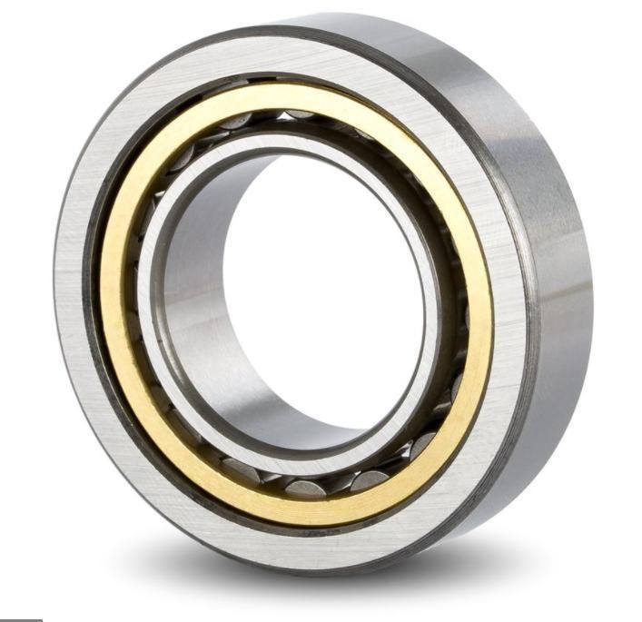 Cylindrical Roller Bearing Nup2208 Cement Mixer Rexroth Pump Bearings