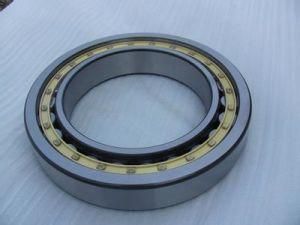 China Supplier Cylindrical Roller Bearings215