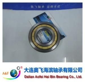 A&F Bearing/ Cylindrical Roller Bearing NJ319M