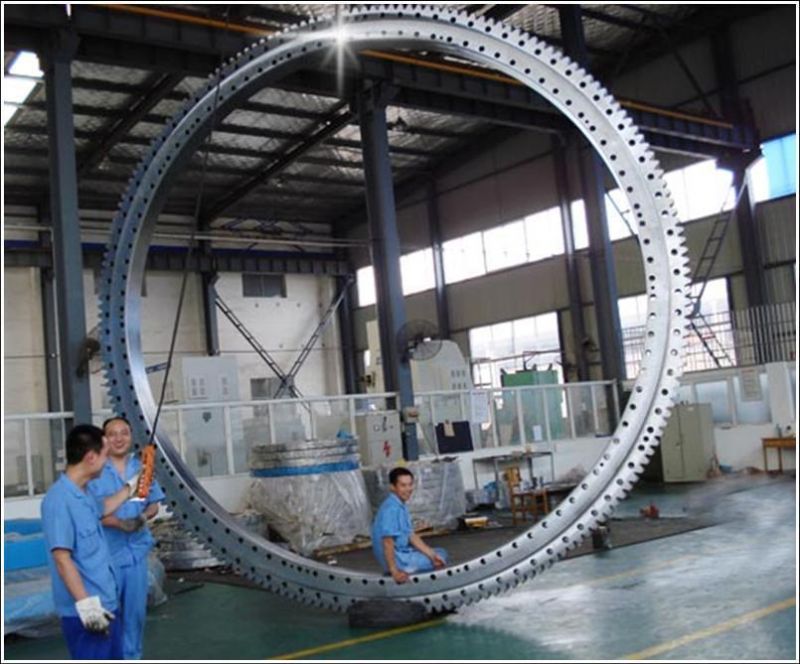 Crossed Roller Bearing, Excavator Slewing Rings Crane Slewing Bearing for Komatsu, Hitachi Kobelco Caterpillar Hyundai