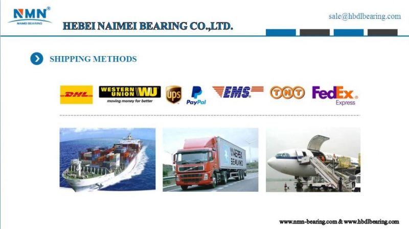 6001 6002 6003 6004 High Speed Low Noise Single Row Deep Groove Ball Bearing for Electric Motorcycle Bearing Tricycle