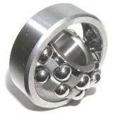 Self-Aligning Ball Bearing (1205TN1)