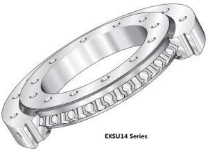 Series Four Point Contact Bearing