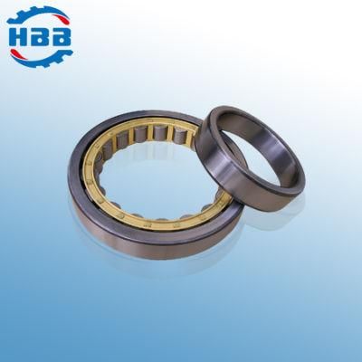 1000mm Nu29/1000 20329/1000 Single Row Cylindrical Roller Bearing Manufacturer