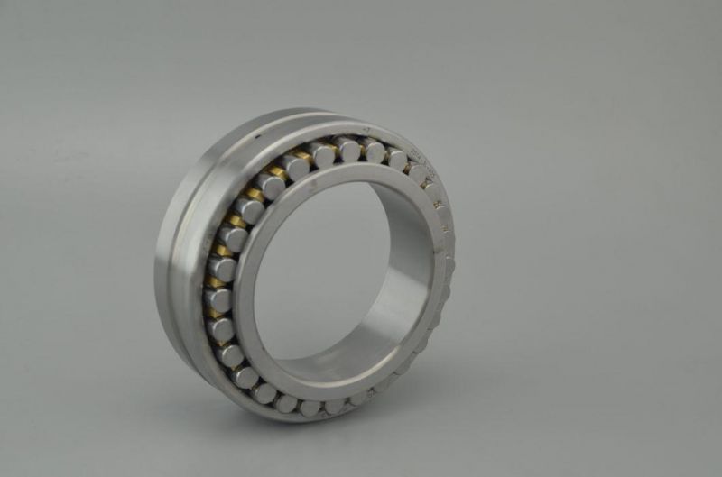 Chrome Steel Double-Ribbed Inner Ring Cylindrical Roller Bearings Nn3030K