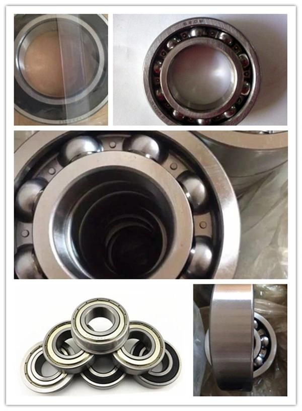 Hot Sale China Factory Bearings Deep Groove Ball Bearing Open and Sealed 2RS Zz