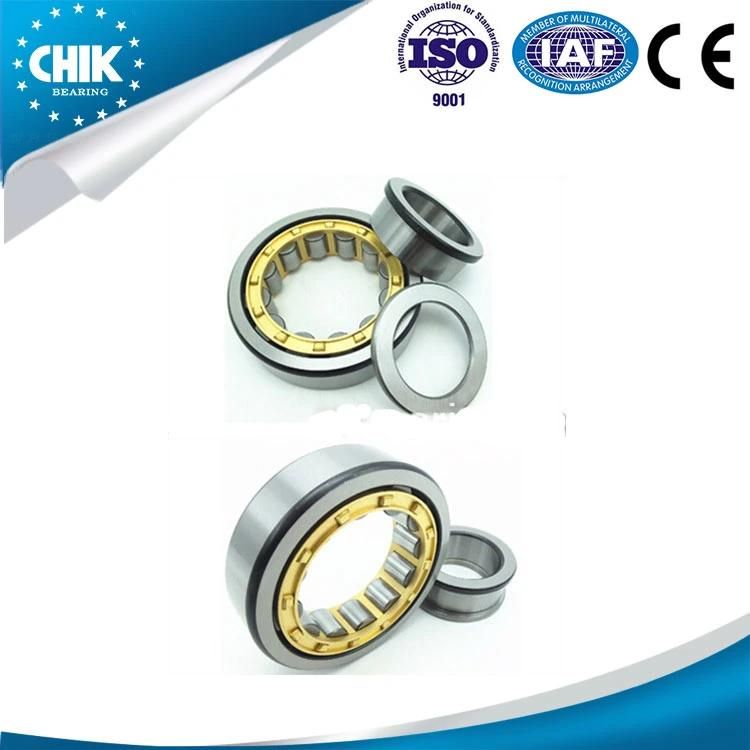 Machine Parts Cylindrical Roller Bearing N1010em N1011em N1012em N1013em N1014em N1015em Auto Spare Parts