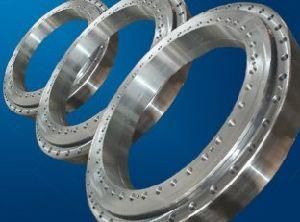 Rks. 160.20.1904 Slew Bearing or Turn Table Bearing for Rough Terrain Crane