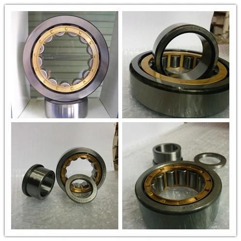 Distributor SKF Bearing Thrust Roller Bearings N205nu