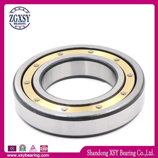 608 2RS Zz for Inline Skate Free Skateboard Special Deep Groove Ball Bearing