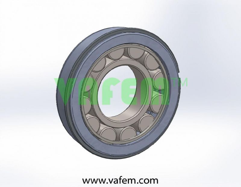 Cylindrical Roller Bearing Dg75AA/Roller Bearing/Full Complement Roller Bearing/China Factory