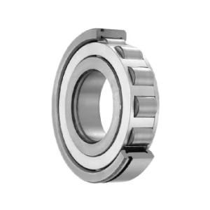 Cylindrical Roller Bearings