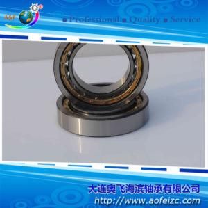 Bearings Cylindrical Roller Bearing NU1030M for Electric Motors Automobiles