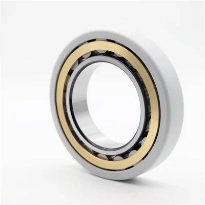 Insocoat Bearings Electrically Insulated Bearing Cylindrical Roller Bearing Nu211 Ecm/C3vl0241 for Electric Motors