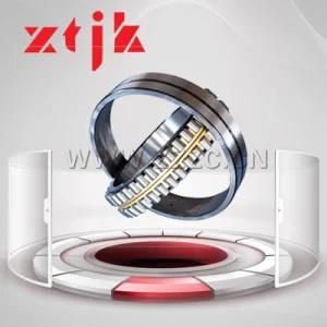Double Row Cylindrical Roller Bearing Made in China