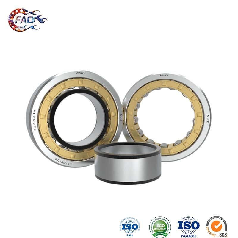 Xinhuo Bearing China 6205 Bearing Manufacturing 7206 2RS Nu304 Double Row Cylindrical Roller Bearing