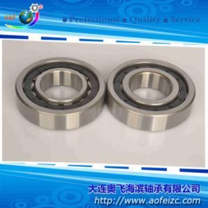 NJ313E Cylindrical Roller Bearings Used for Locomotives From Shandong Bearings Plant