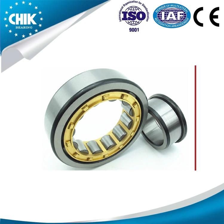Cylindrical Roller Bearing N209ecp N219ecp N308ecp N315ecp N320ecp N211ecp N220ecp N309ecp N316ecm N321ecp Roller Bearing