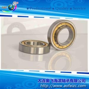 Bearings Cylindrical Roller Bearing NU217M with Factory Price