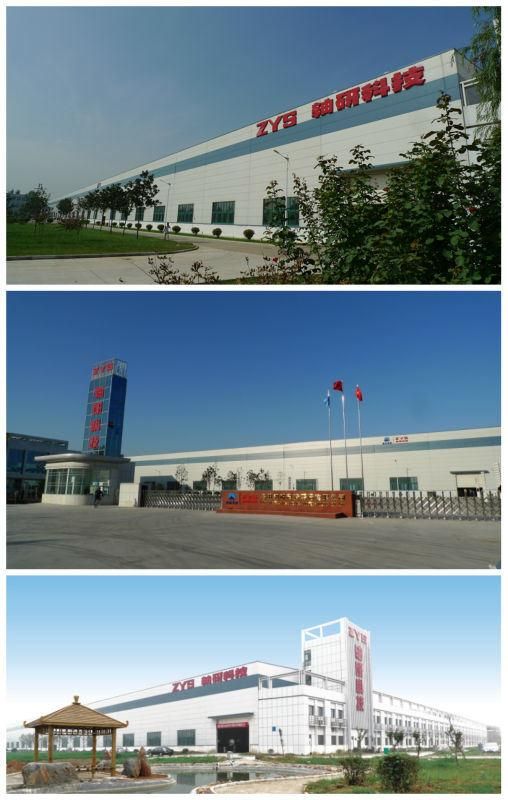 China High Quality Bearing Manufacturer Zys Large Slewing Bearing 221.45.5000
