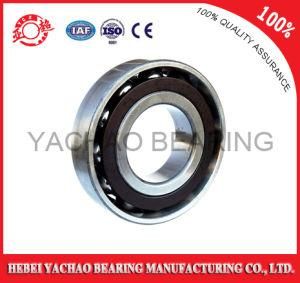 Deep Groove Ball Bearing (6326 ZZ RS OPEN)