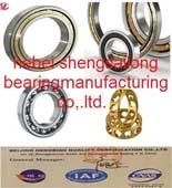 Single Row Deep Groove Ball Bearing