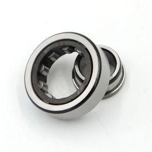 Cylindrical Roller Bearings Nu1006 N206ecp Nj206ecj Nj206ecp Nu206ecj Nu206ecp Nu206ecph Nup206ecp Nj206ecml Nu206ecml Nup206ecml