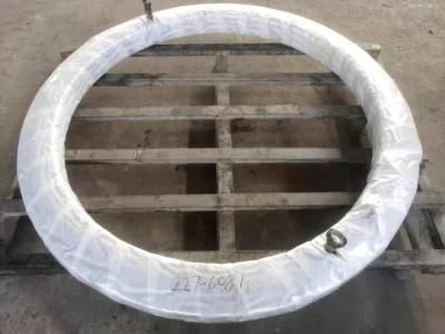 Small R300-5 Machinery Use Slew Ring Slewing Bearing