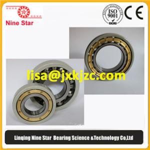 SKF NTN Nke Nu224ecm/C3va3091 Insulated Bearing
