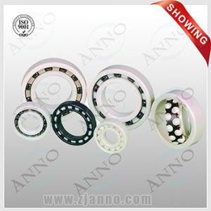 Zro2 Ceramic Bearing