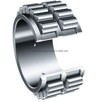 Cylindrical Roller Bearing N1076em/Nj1076em/Nu1076em