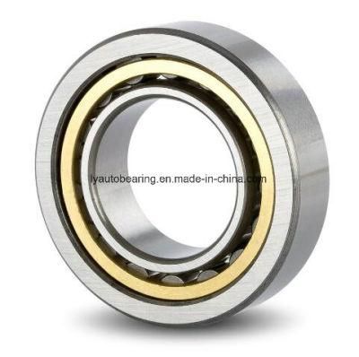 Cylindrical Roller Bearing Nn3011