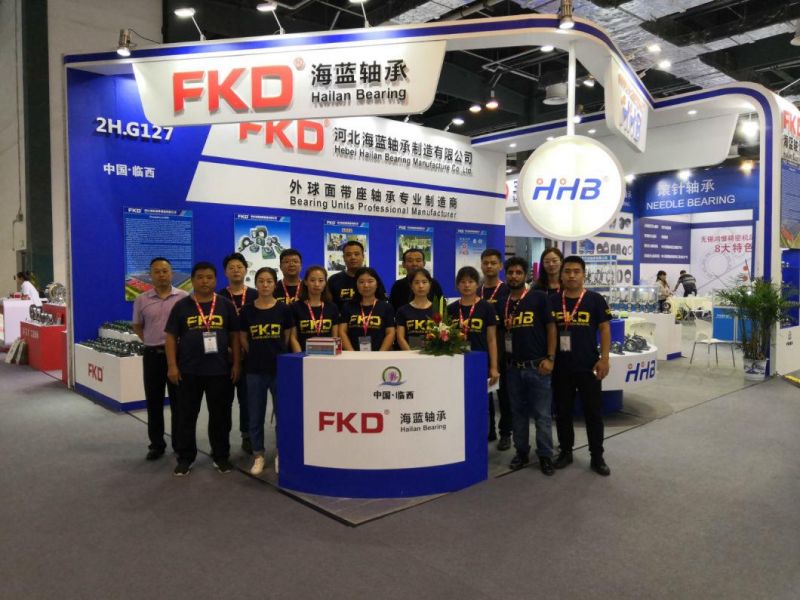 Hhb, Fe, Fkd Brand Flange Bearings