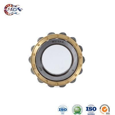 Xinhuo Bearing China Loose Ball Bearings ODM 11mm Steel Balls N317e Nup Type Cylindrical Roller Bearing