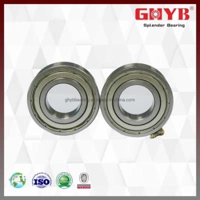 High Precision Suppliers Motor Bearings 6306 Chrome Steel Single Deep Groove Ball Bearing