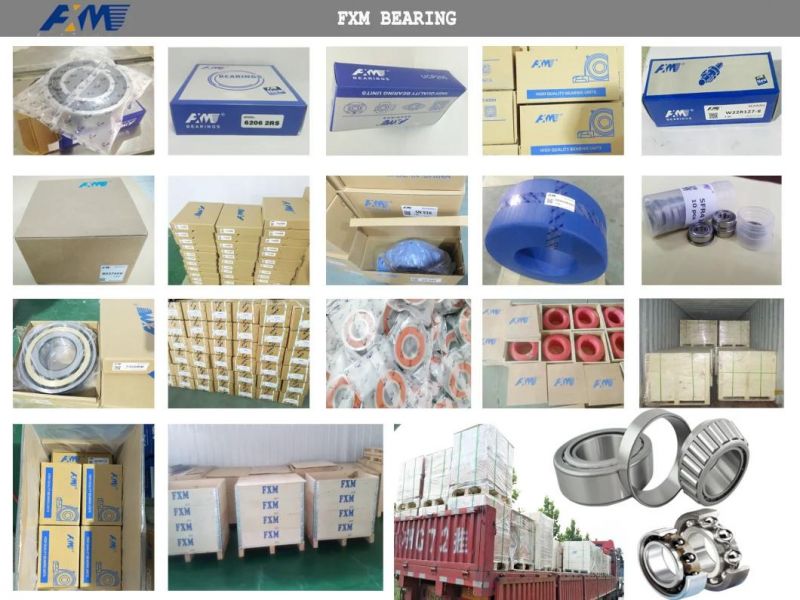 Factory Directly Sell/UC Bearings/Inserts Bearings/Pillow Block Bearings (UC201 to UC212)