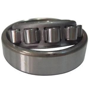 China Manufacturing Cylindrical roller bearing NJ2340 with high quality