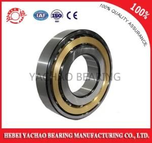 Angular Contact Ball Bearings (7005c, 7005AC, 7005b)