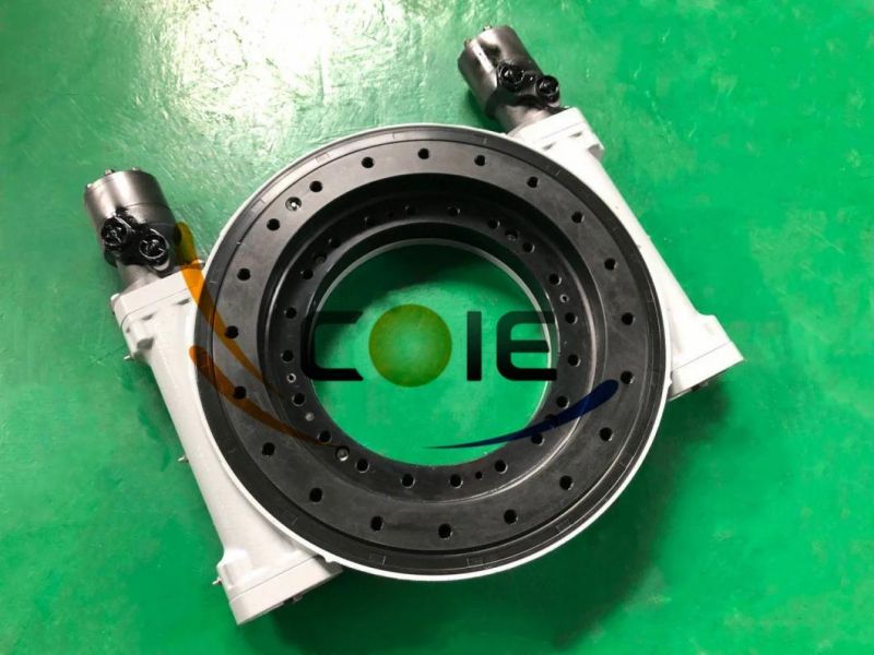 Heavy Load Dual Worm Slewing Drive, Slewing Bearing for Crane, Clean Road Equipment