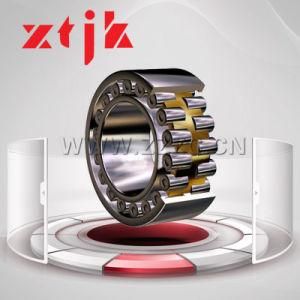 Brass Precision Double Row Cylindrical Roller Bearing Manufacturer